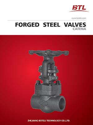 FORGED STEEL VALVES