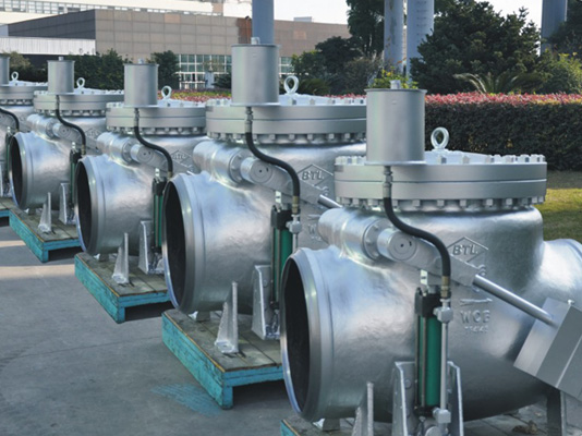 Check Valve