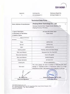 TUV-API Standard 624-OT-SHI05006-17-1