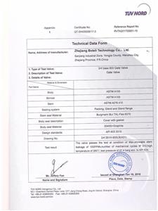 TUV-API Standard 624-OT-SHI05006-17-3