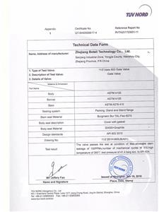 TUV-API Standard 624-OT-SHI05006-17-4